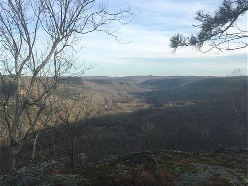 Ozark Hunting Property, Pasture : Fox : Stone County : Arkansas