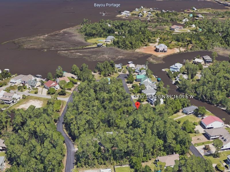 Exotic Bayou Portage Wooded Gulf : Pass Christian : Harrison County : Mississippi