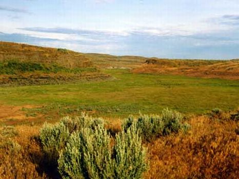 40 Acre Ranches : Moses Lake : Grant County : Washington