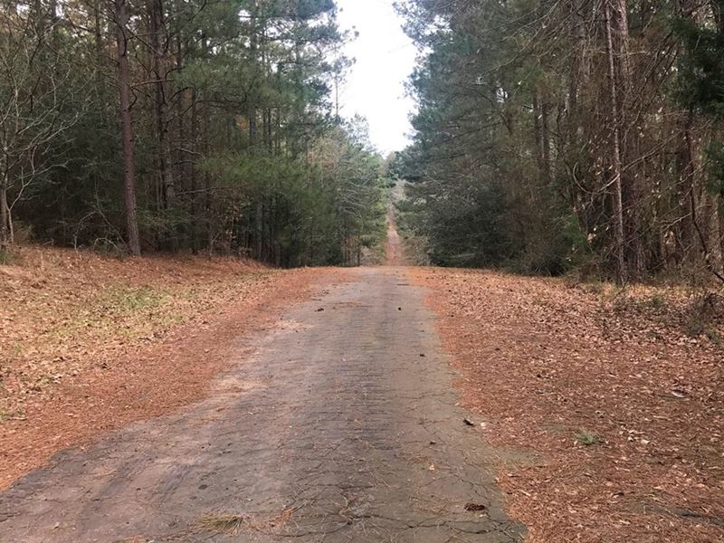 Land Private Lake & Golf Community : Frankston : Anderson County : Texas