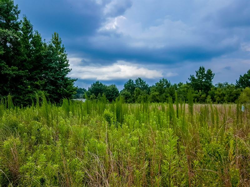 Nice Wooded Lot 5 Min From Wetumpka : Wetumpka : Elmore County : Alabama
