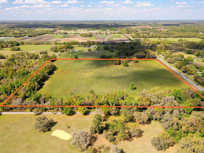 Webster Hayfield : Webster : Sumter County : Florida