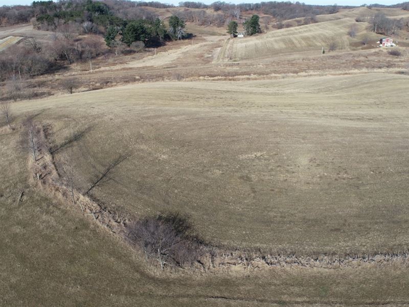 45 Acres Eau Claire County, WI : Eleva : Eau Claire County : Wisconsin