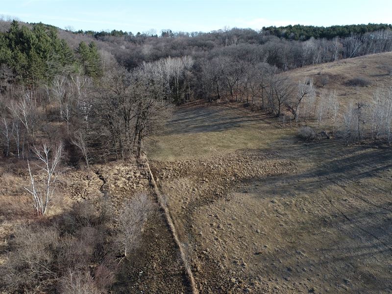 35 Acres Eau Claire County, WI : Eleva : Eau Claire County : Wisconsin