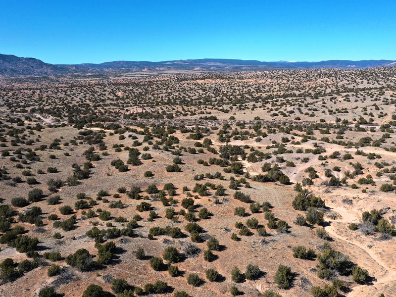 5 Acres in El Rito Estates, NM : Abiquiu : Rio Arriba County : New Mexico