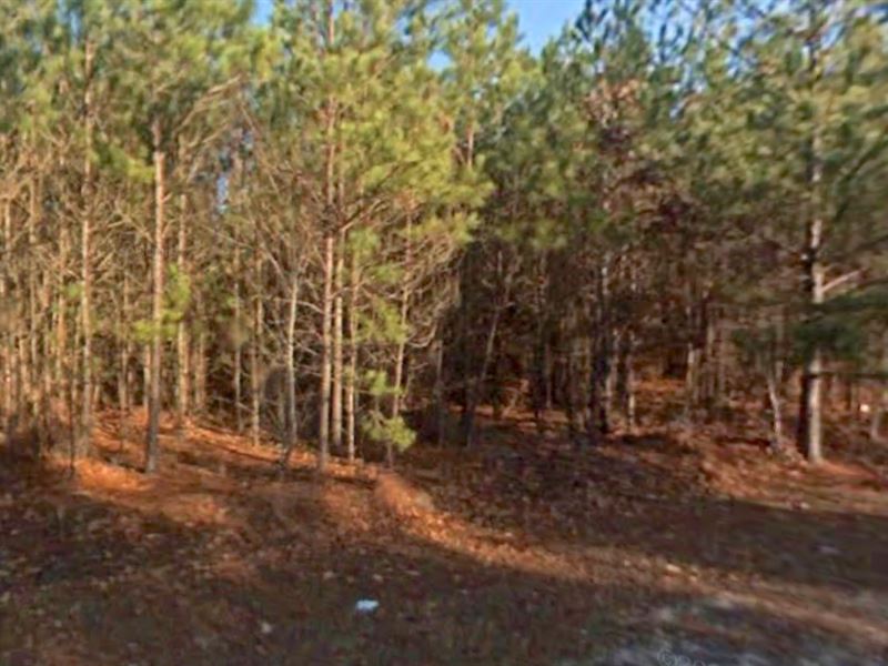 Fsbo, 2 Lots, Mobile Homes OK : Bethune : Kershaw County : South Carolina