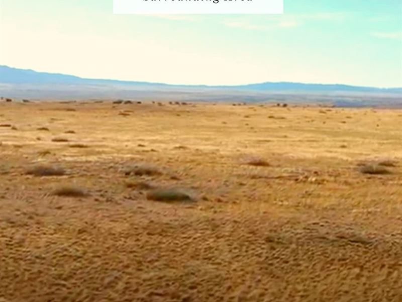 5 Acres Only $1Dn, $199/Mo : Belen : Socorro County : New Mexico