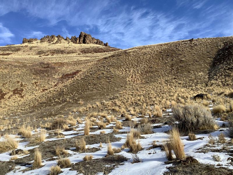 120 Acre Raw Land in Elko County NV : Special Lands : Elko County : Nevada