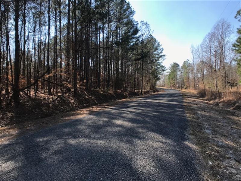 5 Acre Wooded Home Site : Ashville : Saint Clair County : Alabama