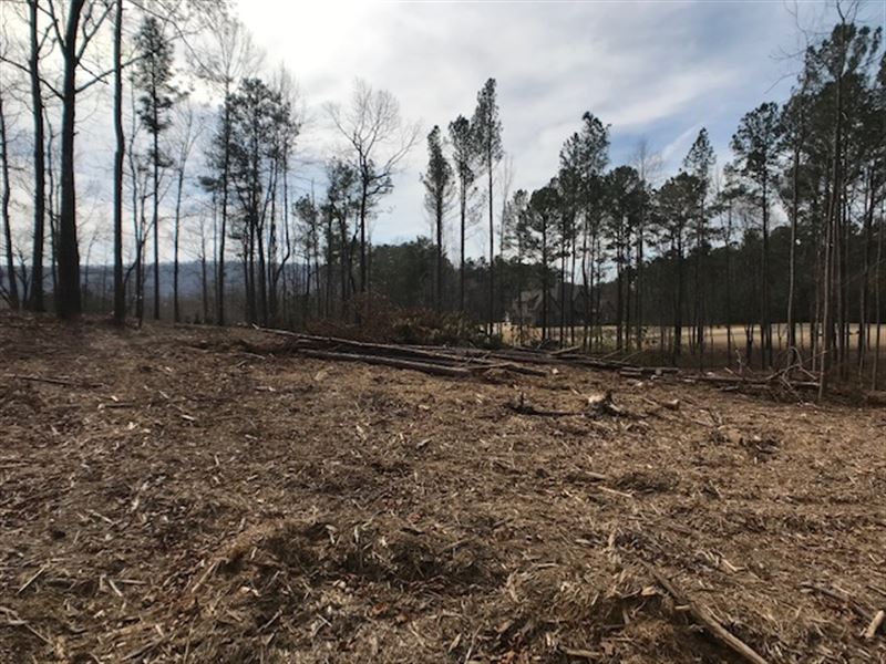 Aradon Farm Subd Lot : Odenville : Saint Clair County : Alabama