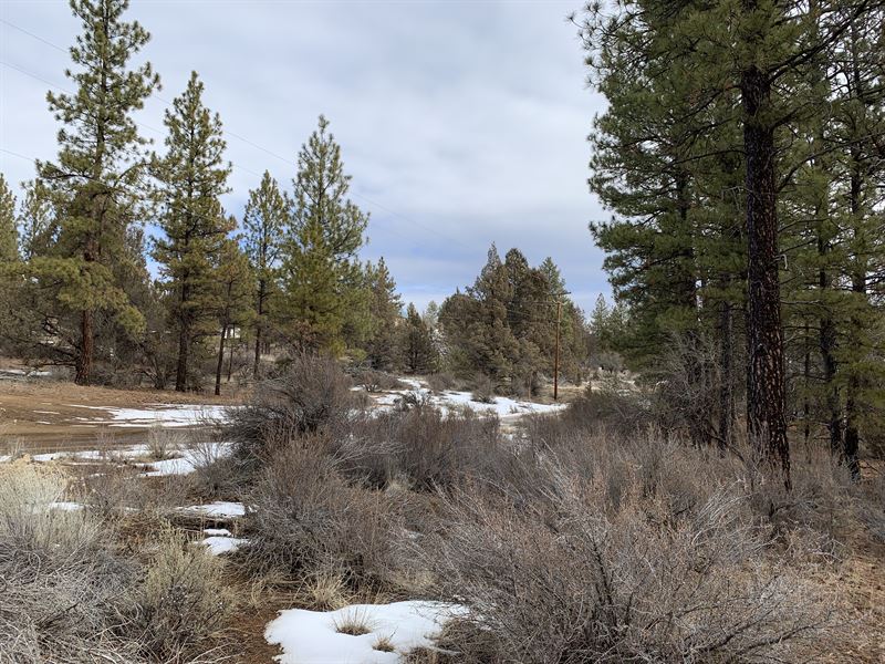 Leave Stress and Noise of The City : Chiloquin : Klamath County : Oregon