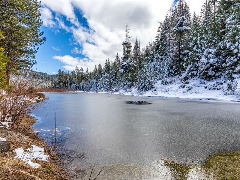 Jack Springs : Eagle Point : Jackson County : Oregon