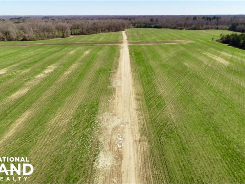 Beech Creek Farm Timber & Hunting : Selma : Dallas County : Alabama