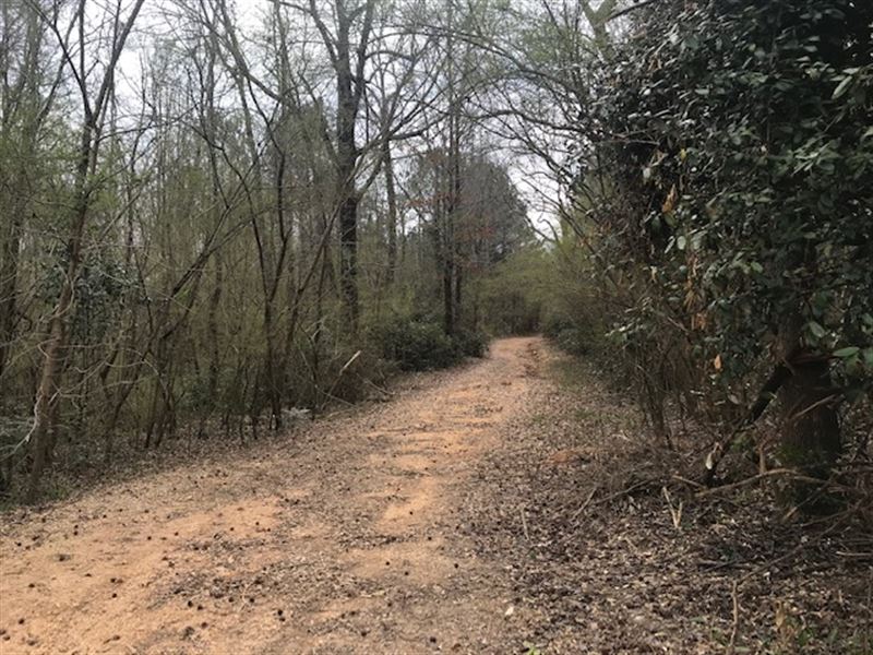 21 Acres Downtown Oneonta : Oneonta : Blount County : Alabama