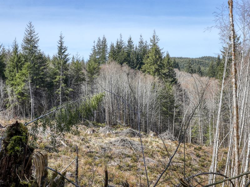 5 Acres Of Freedom : Montesano : Grays Harbor County : Washington
