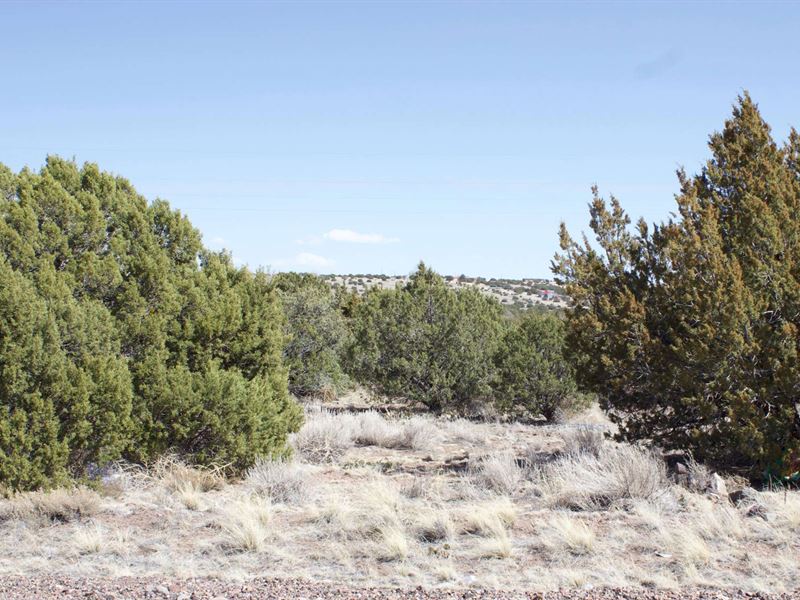 1.1 Acre with Brilliant Views : Chambers : Apache County : Arizona