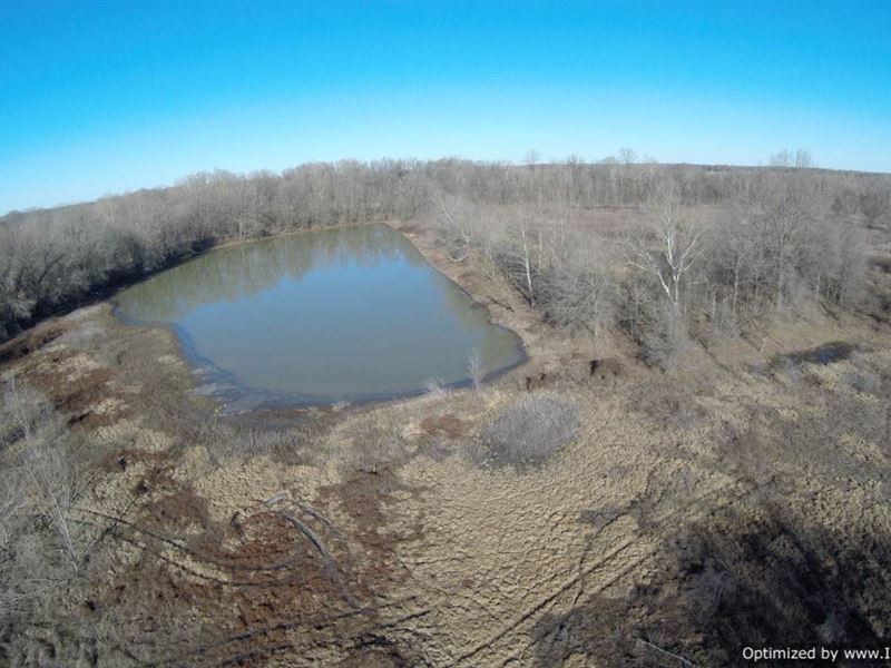 River Front Property On The Yazoo : Yazoo City : Yazoo County : Mississippi