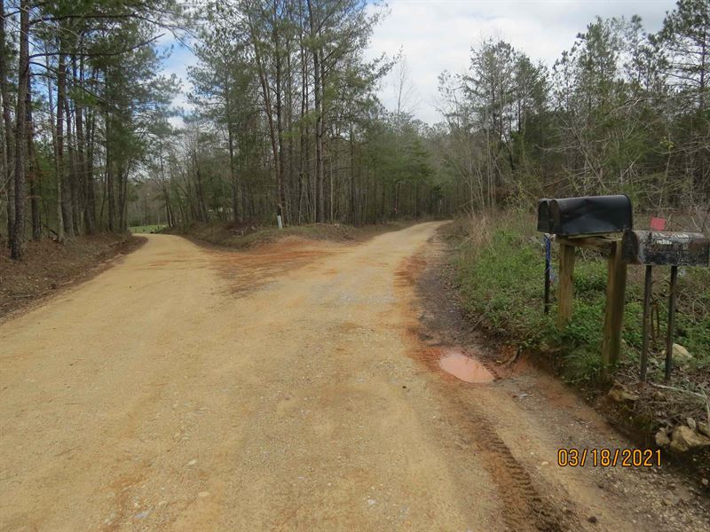 Great Rural Land Home Sites : Clanton : Chilton County : Alabama