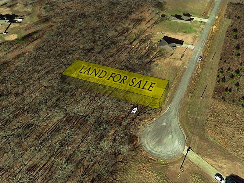 Amazing Lot : Rogersville : Lauderdale County : Alabama