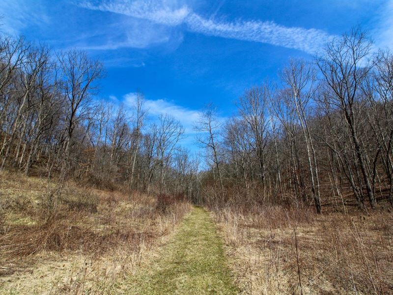 SR 376, 34 Acres, Muskingum Count : Blue Rock : Muskingum County : Ohio