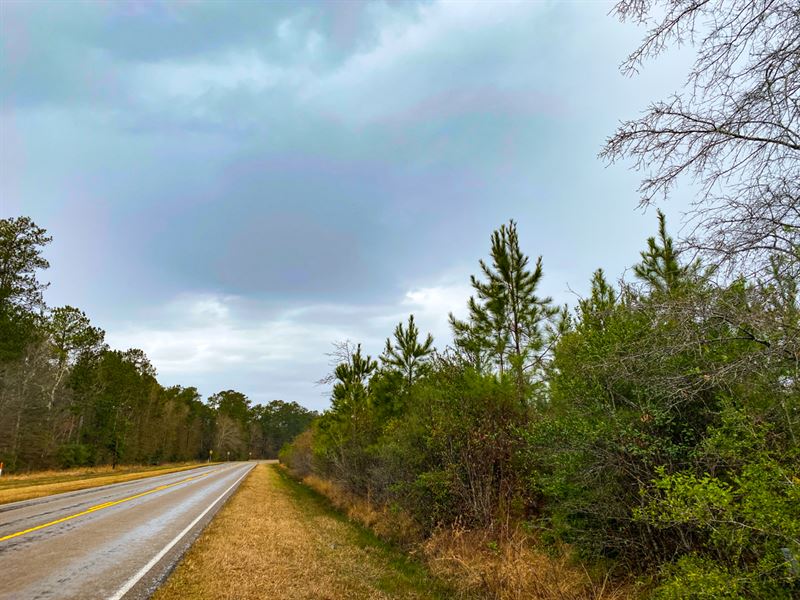 68 Ac T-2 Little Pine Island : Saratoga : Hardin County : Texas