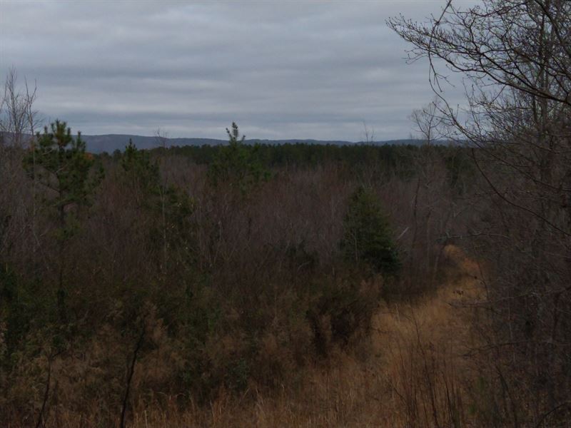 Very Nice Rural Acreage : Ellenboro : Rutherford County : North Carolina