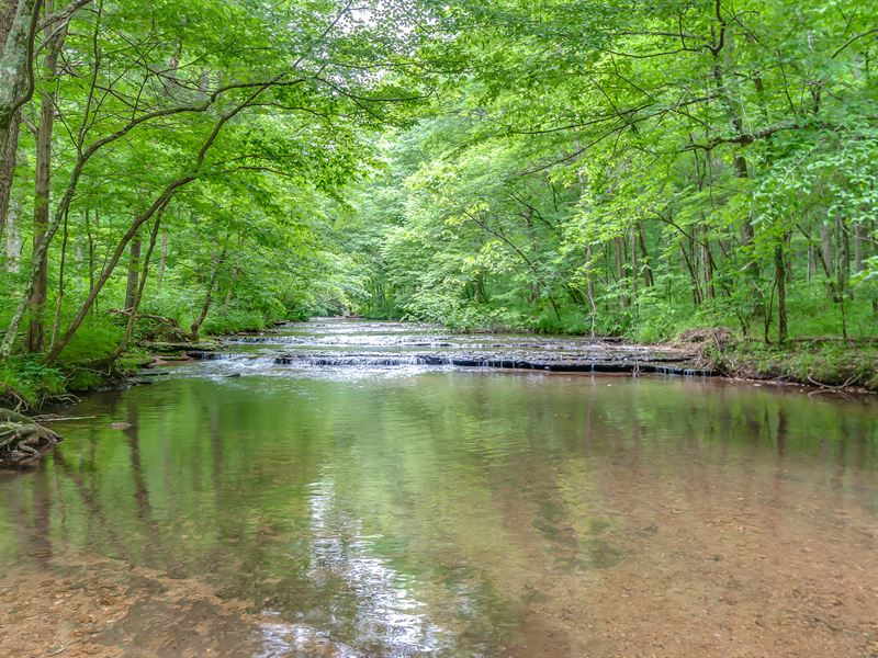642 Acres in N Williamson County : Fairview : Williamson County : Tennessee