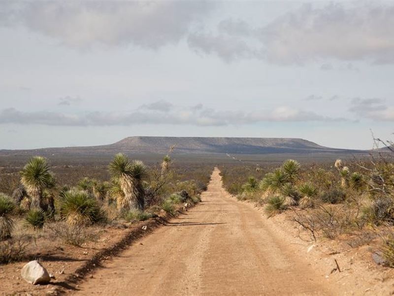20 Acre in Hudspeth County, TX : Sierra Blanca : Hudspeth County : Texas