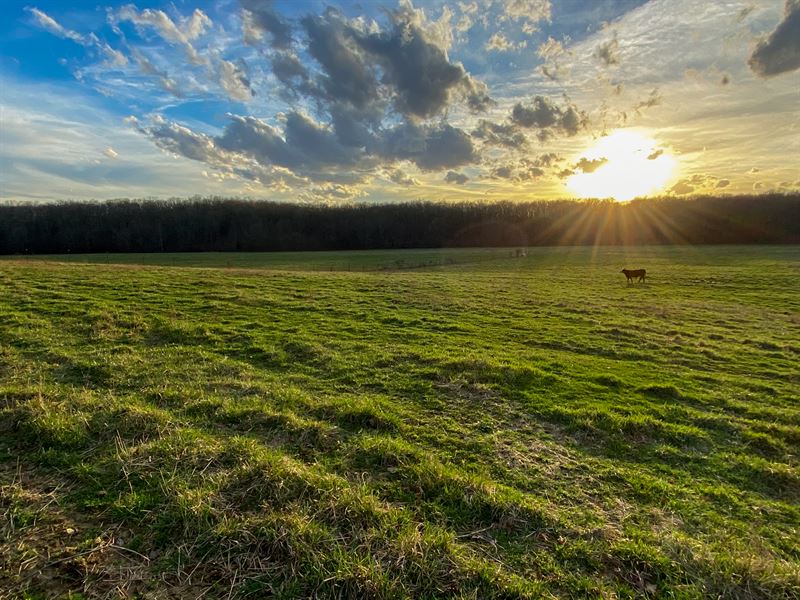 King Mountain 603 : Willow Springs : Howell County : Missouri