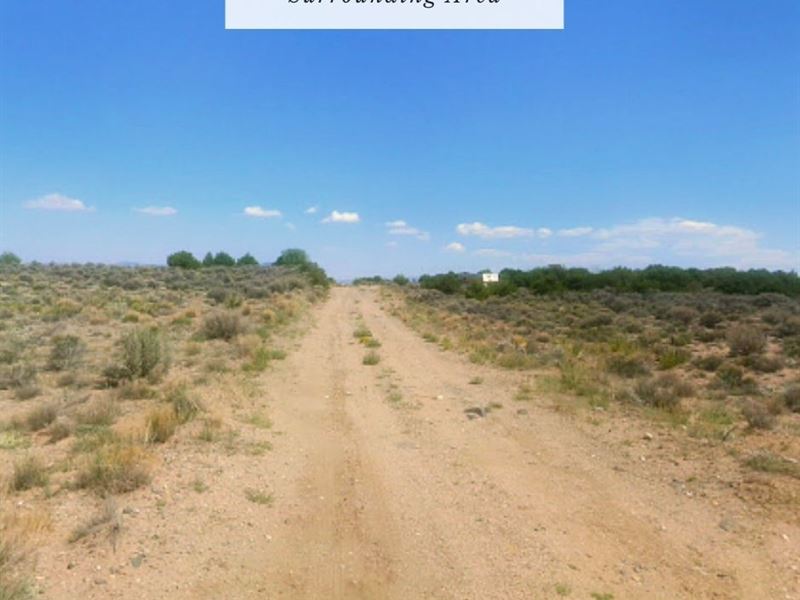 5.6846 Acres Only $1Dn, $199/Mo : Blanca : Costilla County : Colorado