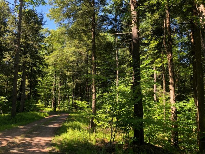 Deerland Park : Camden : Oneida County : New York