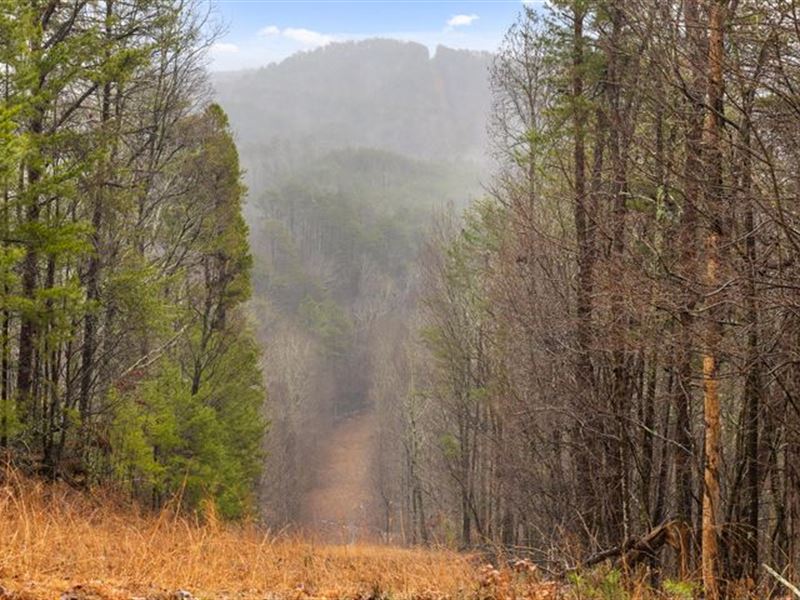 North GA Recreational Acreage : Chickamauga : Walker County : Georgia