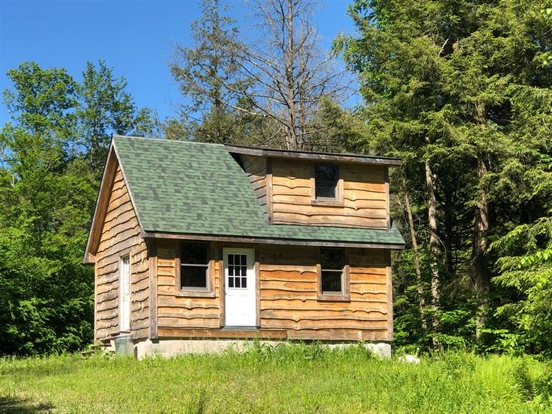 Camp Carleton : Camden : Oneida County : New York