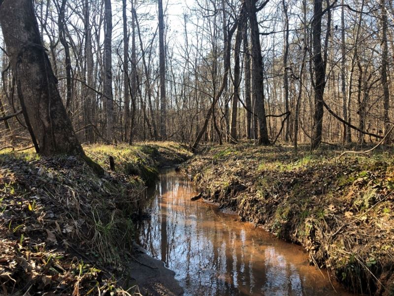 Falling Creek Timberlands : Hillsboro : Jasper County : Georgia