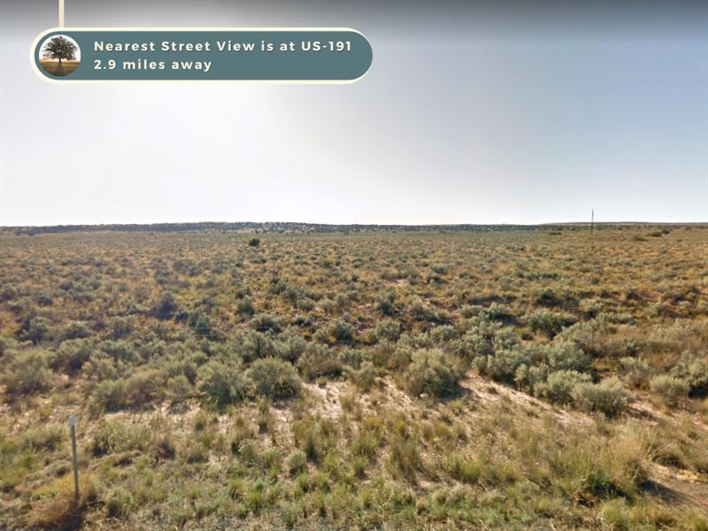 So Close But So Far : Chambers : Apache County : Arizona