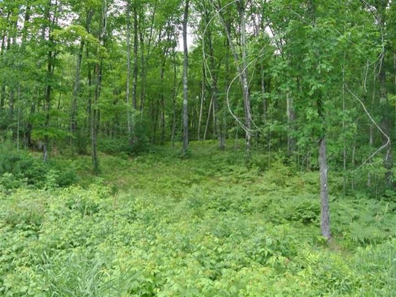 5+ Acreage Parcels in Minocqua : Minocqua : Oneida County : Wisconsin