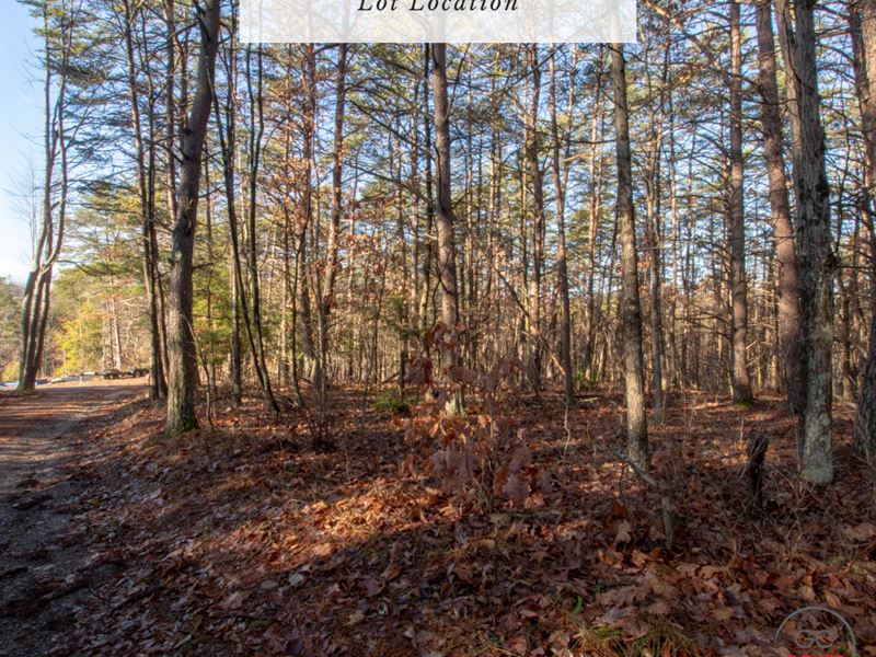 1.91 Acres Only $1Down, $299/Mo : Berkeley Springs : Morgan County : West Virginia