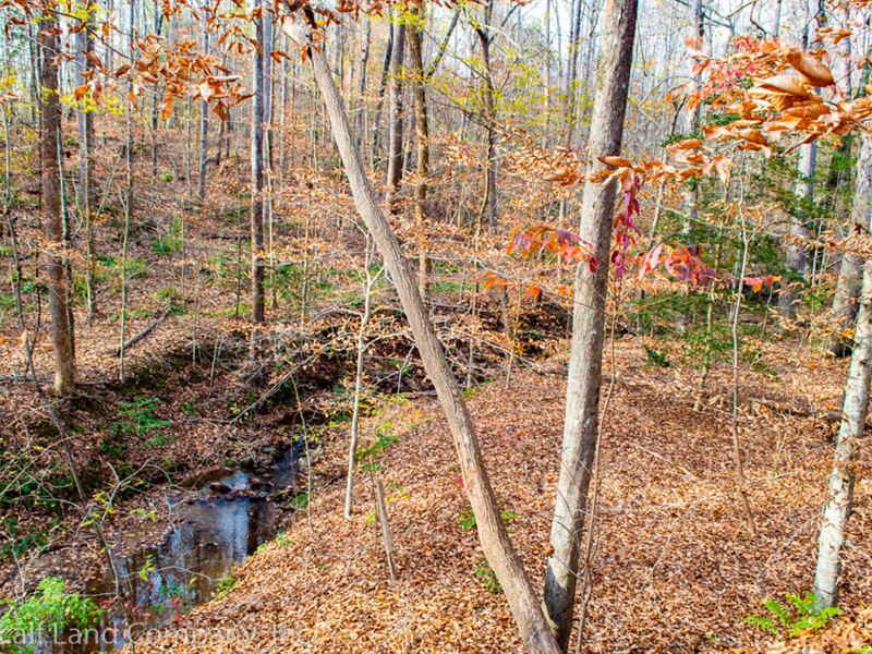 19 Acres in Cherokee County : Pacolet : Cherokee County : South Carolina