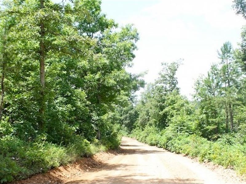 8.80 Acre in Shannon County, MO : Winona : Shannon County : Missouri