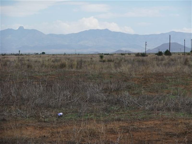 Elec. Near, Nice Climate, Level Lot : Sunizona : Cochise County : Arizona