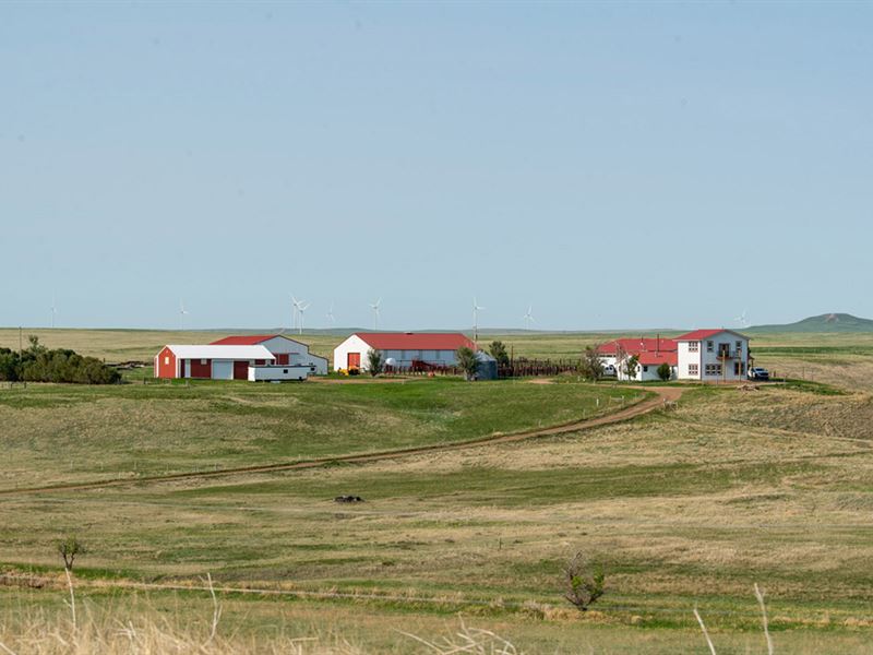 Wind Ranch : Newell : Butte County : South Dakota