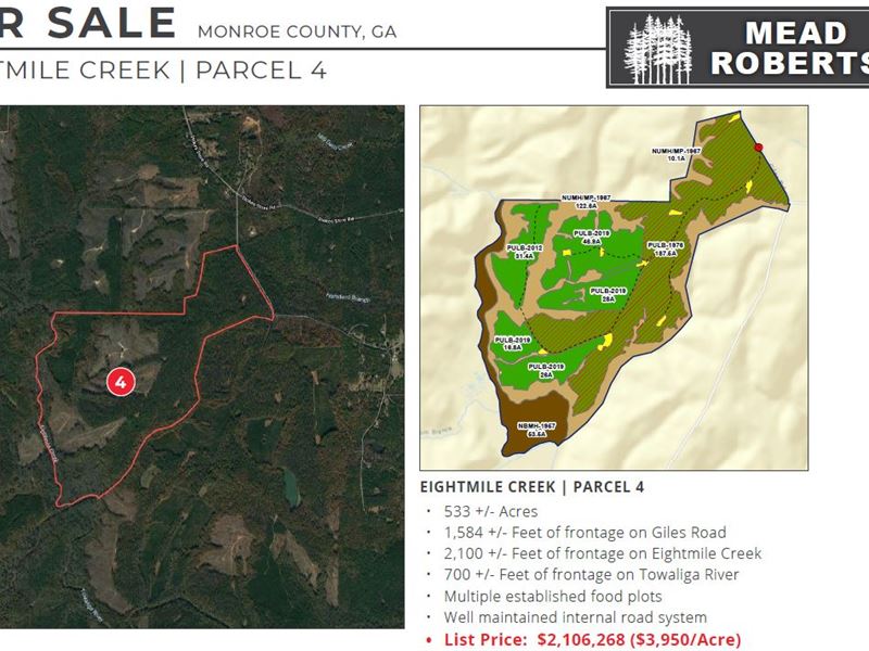 Eightmile Creek : Forsyth : Monroe County : Georgia