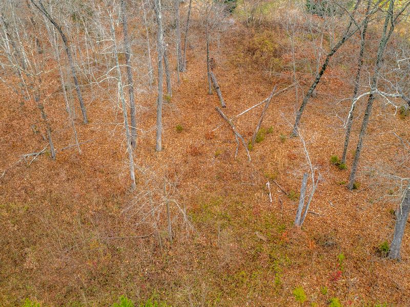 Liquidation Sale, 1/2 Acre Lot : Rutledge : Grainger County : Tennessee