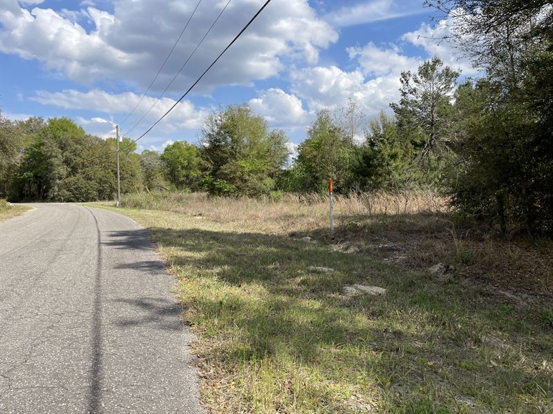 Get Your Slice of Paradise : Ocklawaha : Marion County : Florida