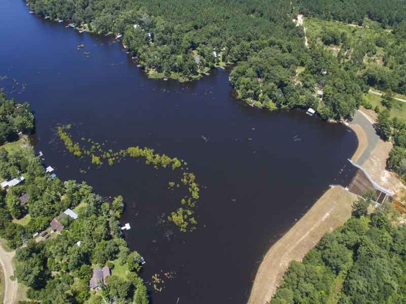 10 Acres Tyler County Getaways T-27 : Colmesneil : Tyler County : Texas