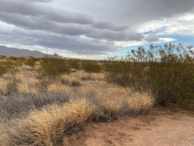Beautiful Ranch Near Tucson : Picture Rocks : Pima County : Arizona