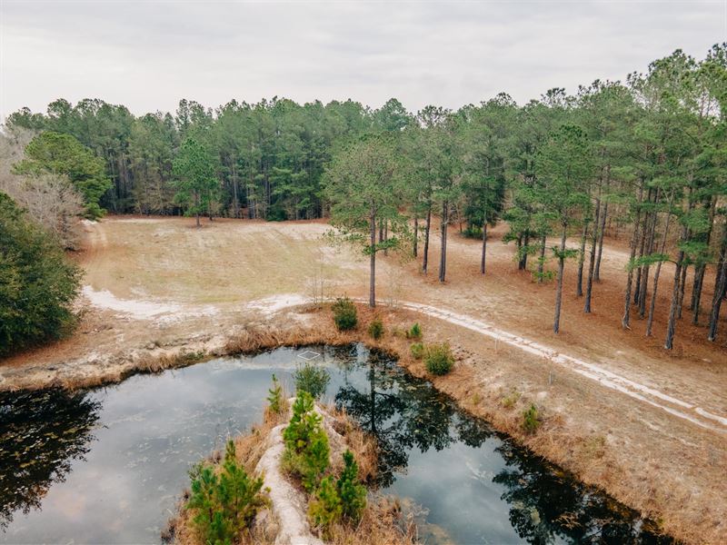 Old Thorn Pond-Fractional Ownership : Statesboro : Bulloch County : Georgia