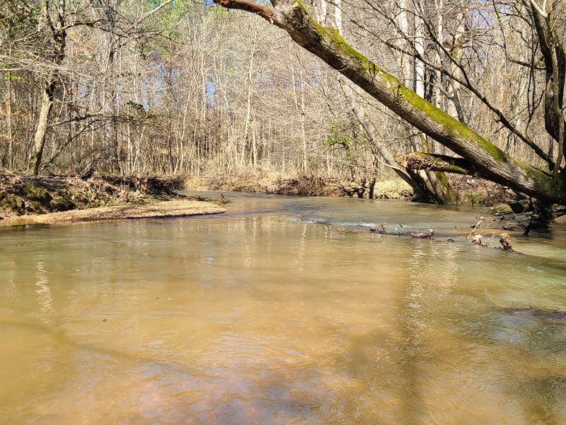 Boardtree Creek South : Hamilton : Marion County : Alabama