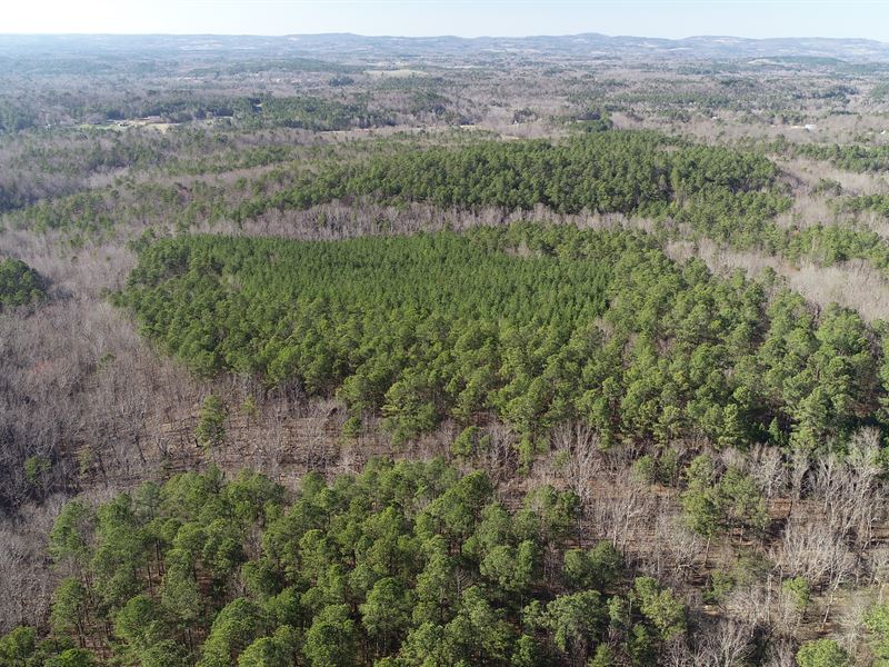 Tucker Gap Getaway : Remlap : Blount County : Alabama