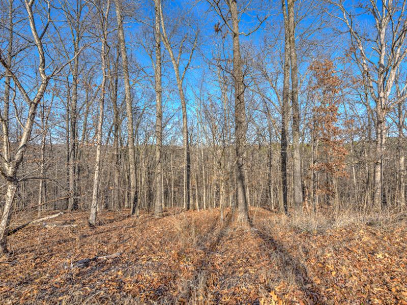 .30 Acre in Bella Vista, Arkansas : Bella Vista : Benton County : Arkansas